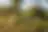 Field 2108 m² in Kassandra, photo 7