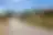 Field 780 m² in Kassandra, photo 4