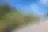 Field 780 m² in Kassandra, photo 6