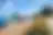 Field 780 m² in Kassandra, photo 8