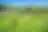 Field 3826 m² in Sithonia, garden