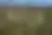 Field 6160 m² in Kassandra, aerial view