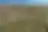 Field 6160 m² in Kassandra, photo 7